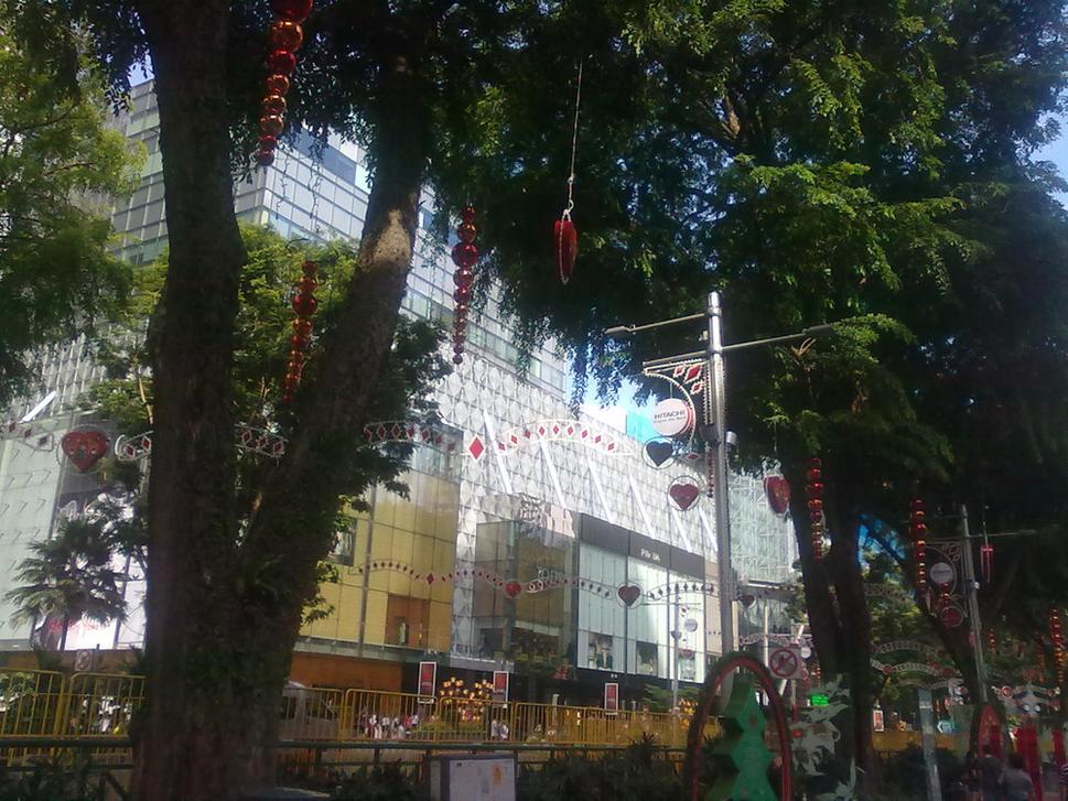 Orchard road