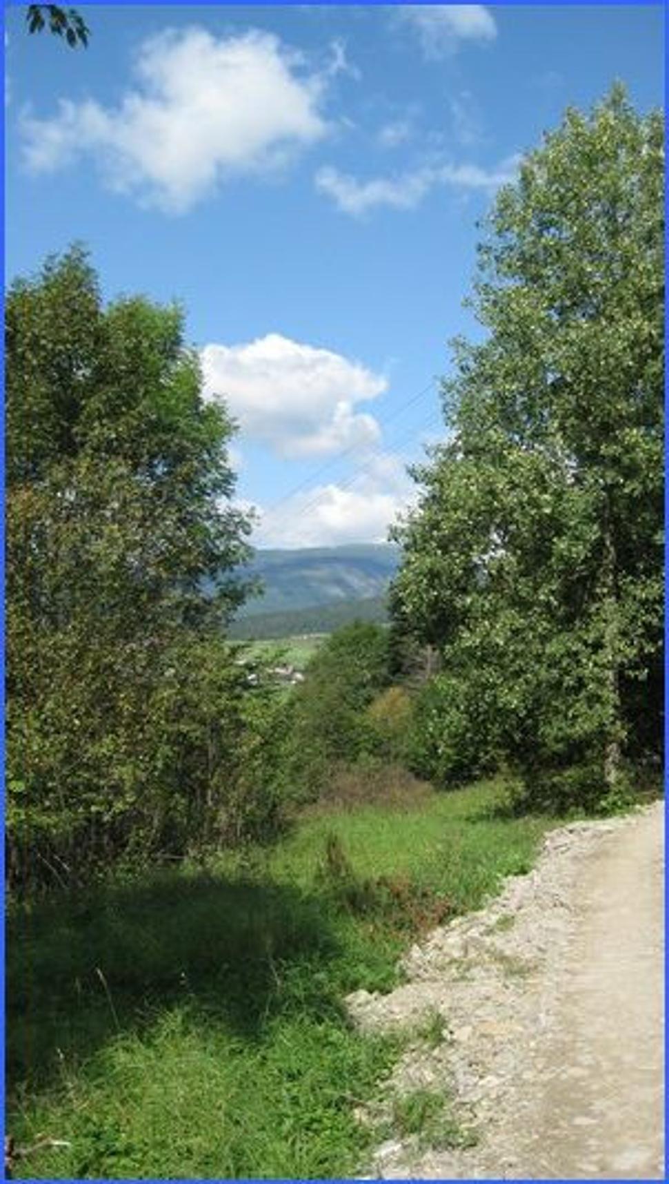 Obrázok blogu