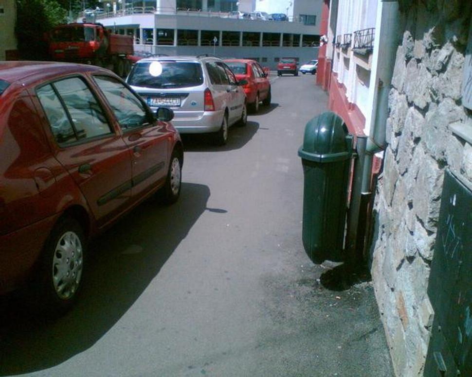 Obrázok blogu