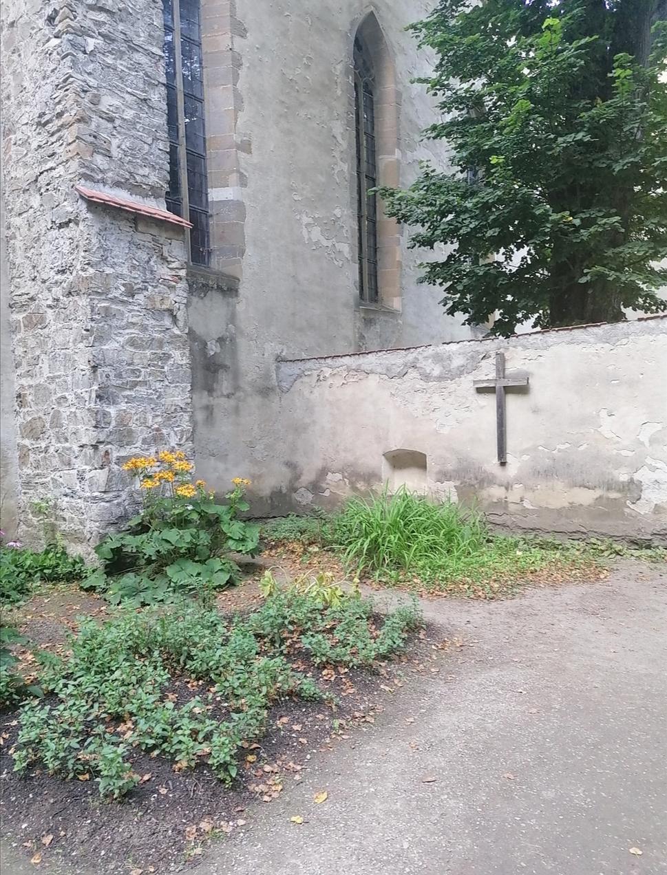 väčšinou záhon chráni kríž