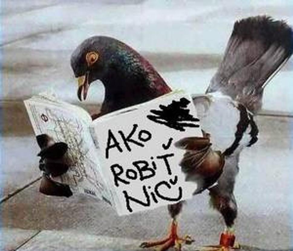 niektori delegati asi studuju prave toto