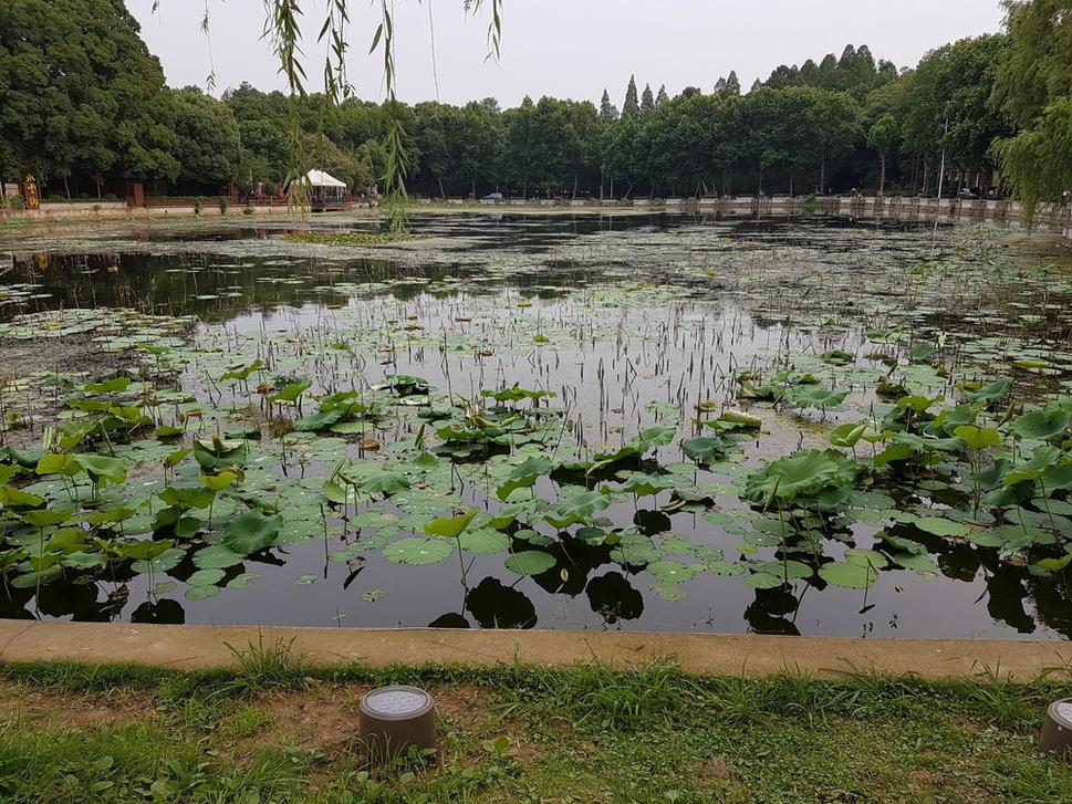 prekvapilo ma, že v tak preplnenom šedom meste je miesto ako tento park