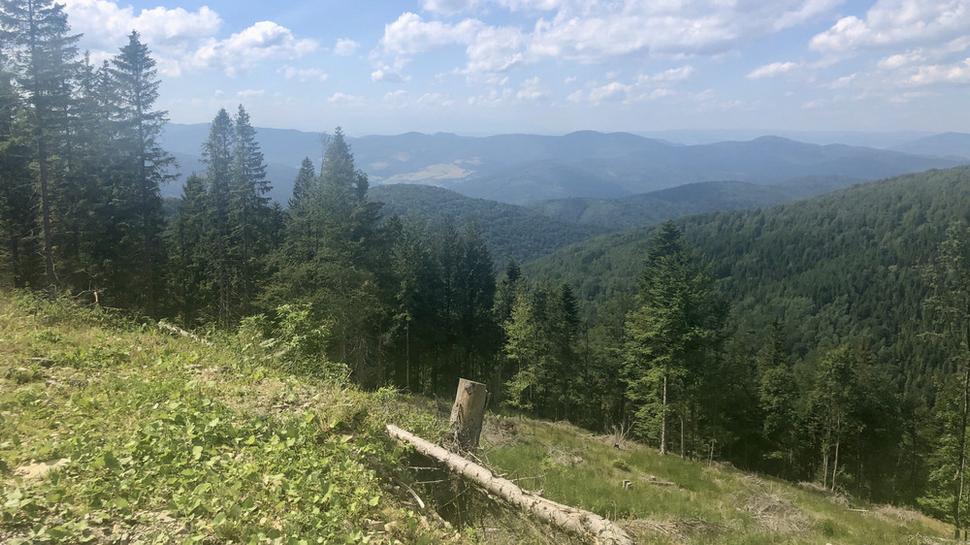 Výhľad od Chaty Erika, niekde vzadu sú Vysoké Tatry
