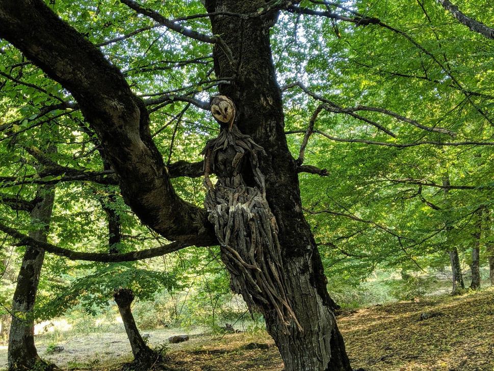 Magic forest je ďalšou z podporených iniciatív miestnych obyvateľov. Vďaka nej si do Arménska našli cestu umelci z rôznych častí sveta tvoriaci umenie z prírodných a teda prirodzene rozložiteľných materiálov – LandArt.