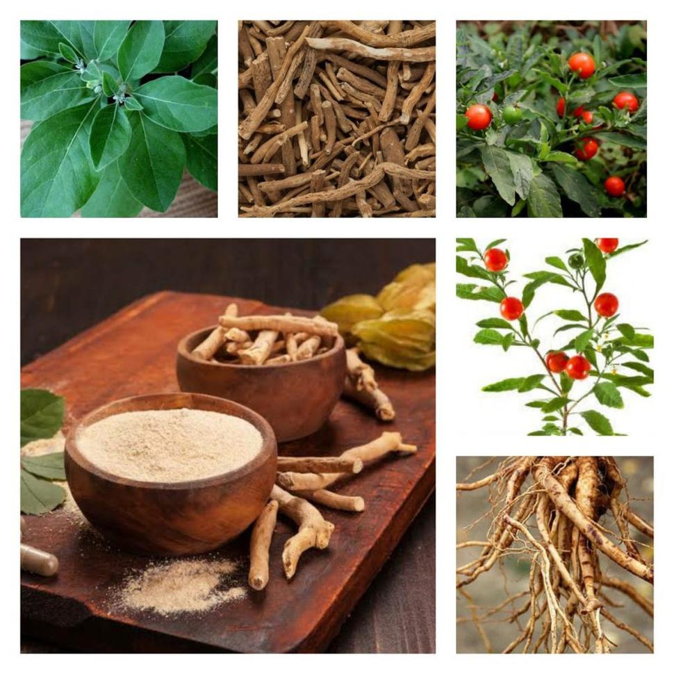 Ashwagandha