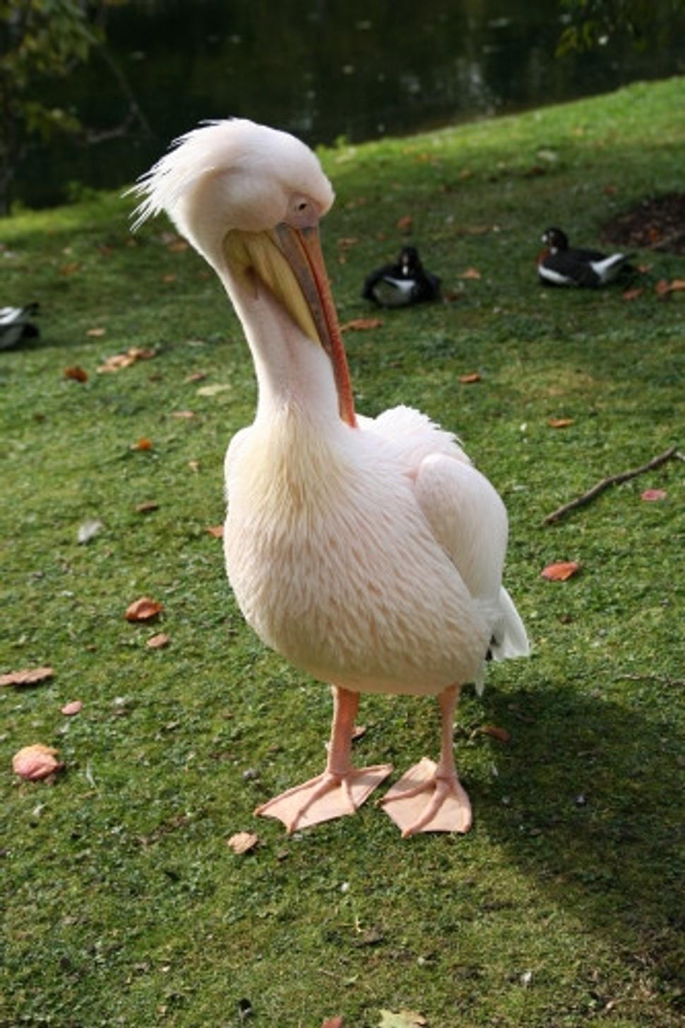 St. James's Park