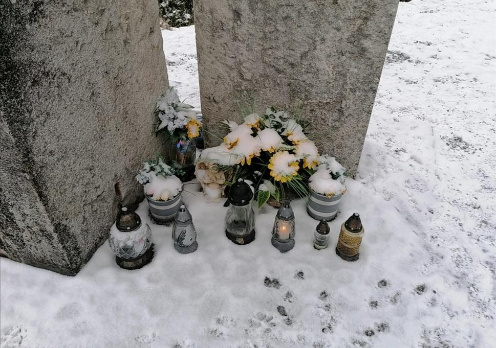 Obrázok blogu