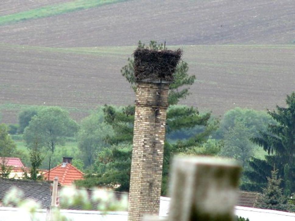 Obrázok blogu