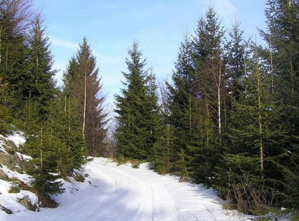 Obrázok blogu
