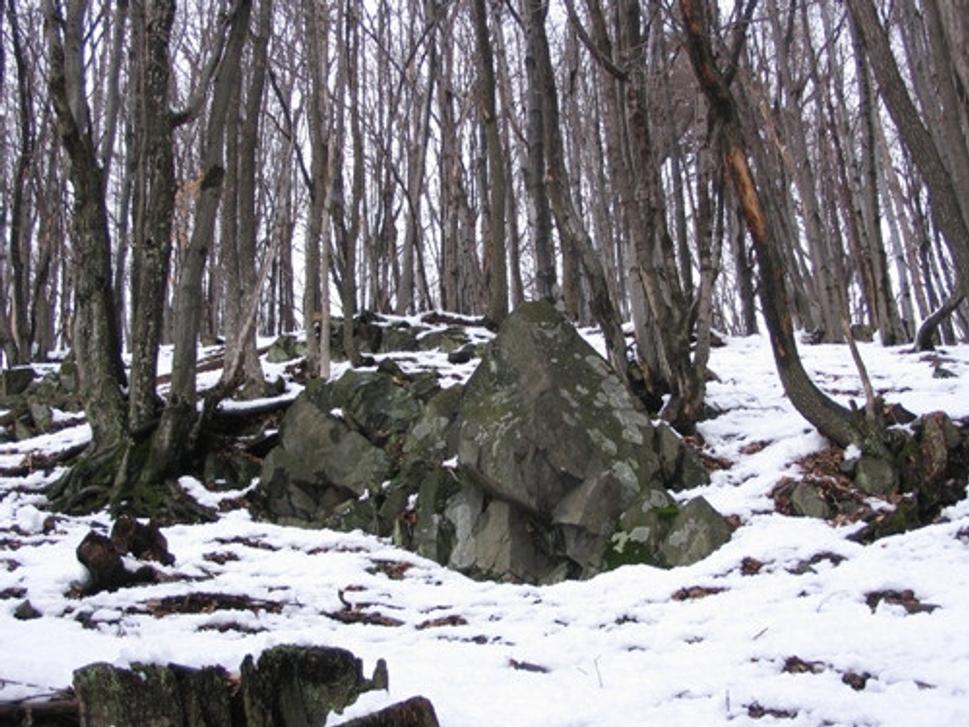 Obrázok blogu