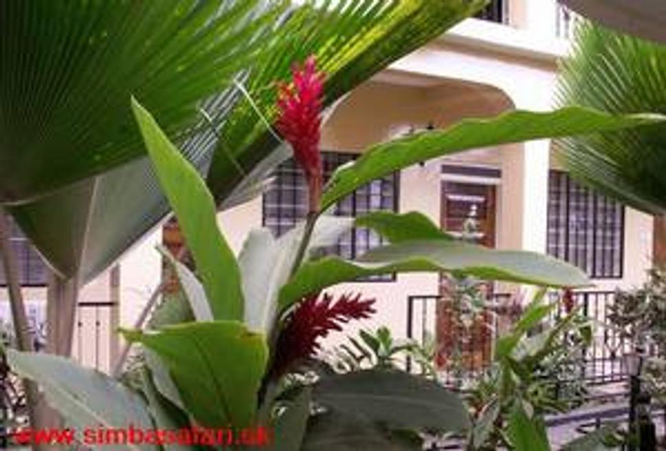 Hotel Springsland