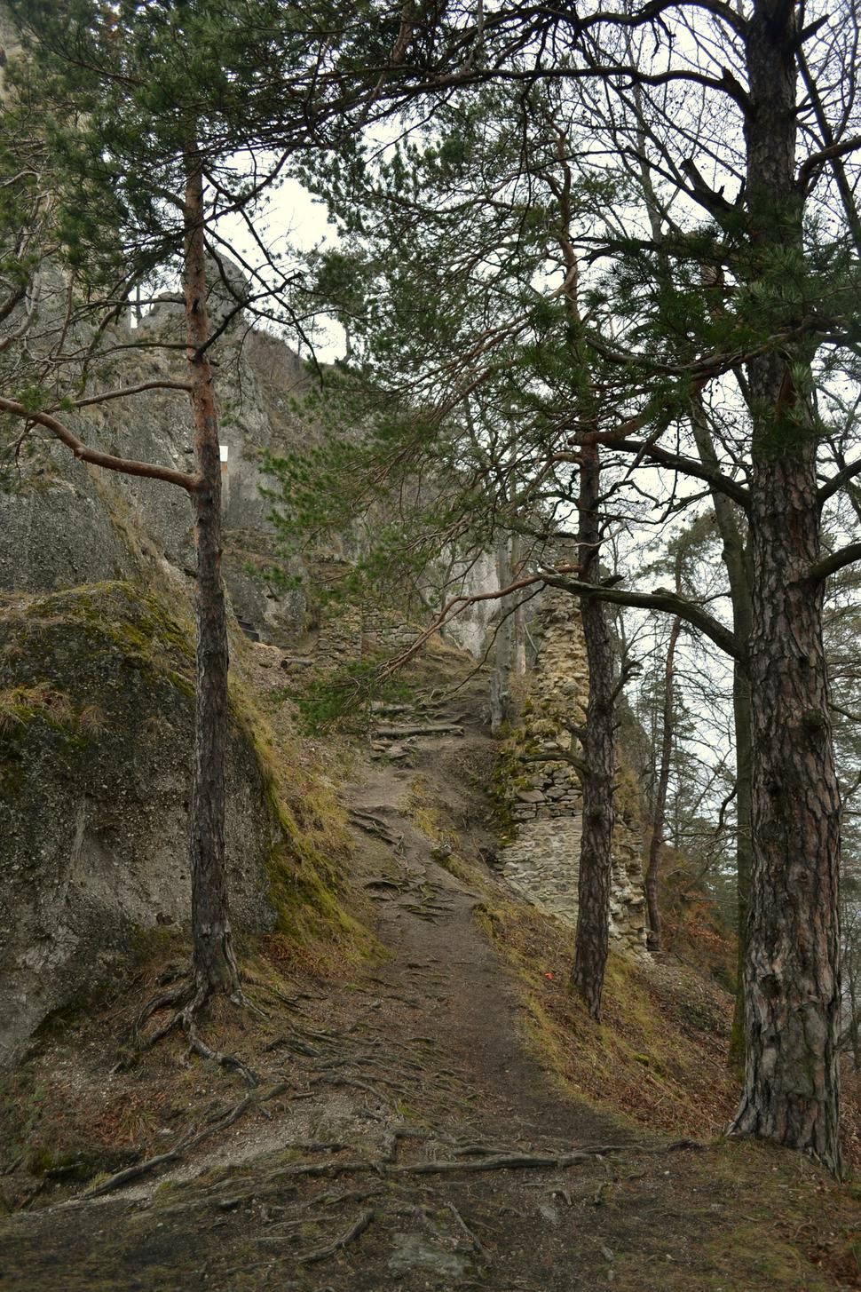 Obrázok blogu