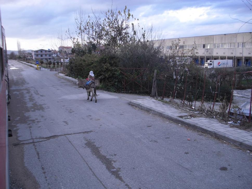 Oslík - obľúbený dopravný prostriedok nielen na vidieku.