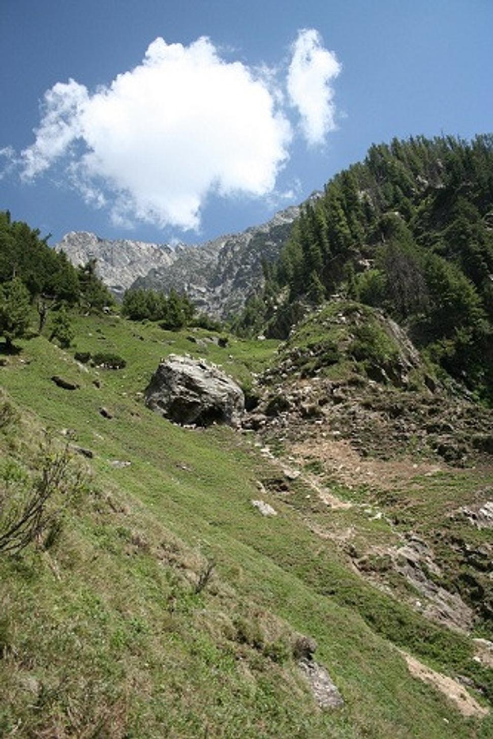 Obrázok blogu