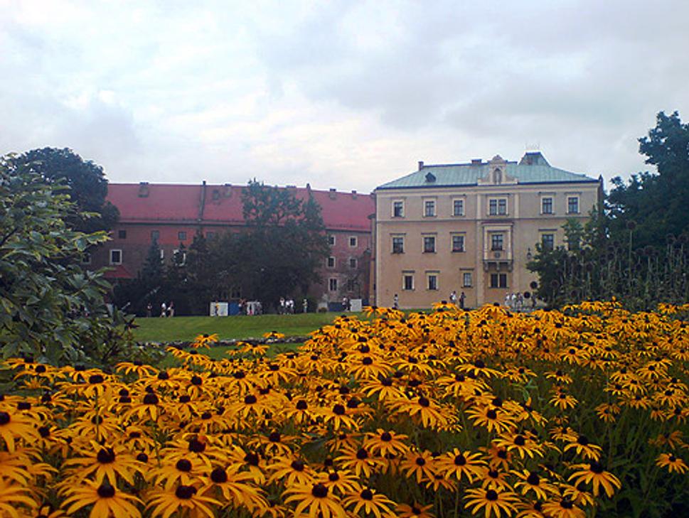 Obrázok blogu