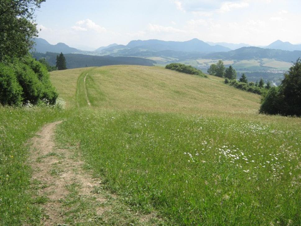 Obrázok blogu