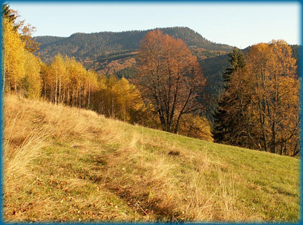Obrázok blogu