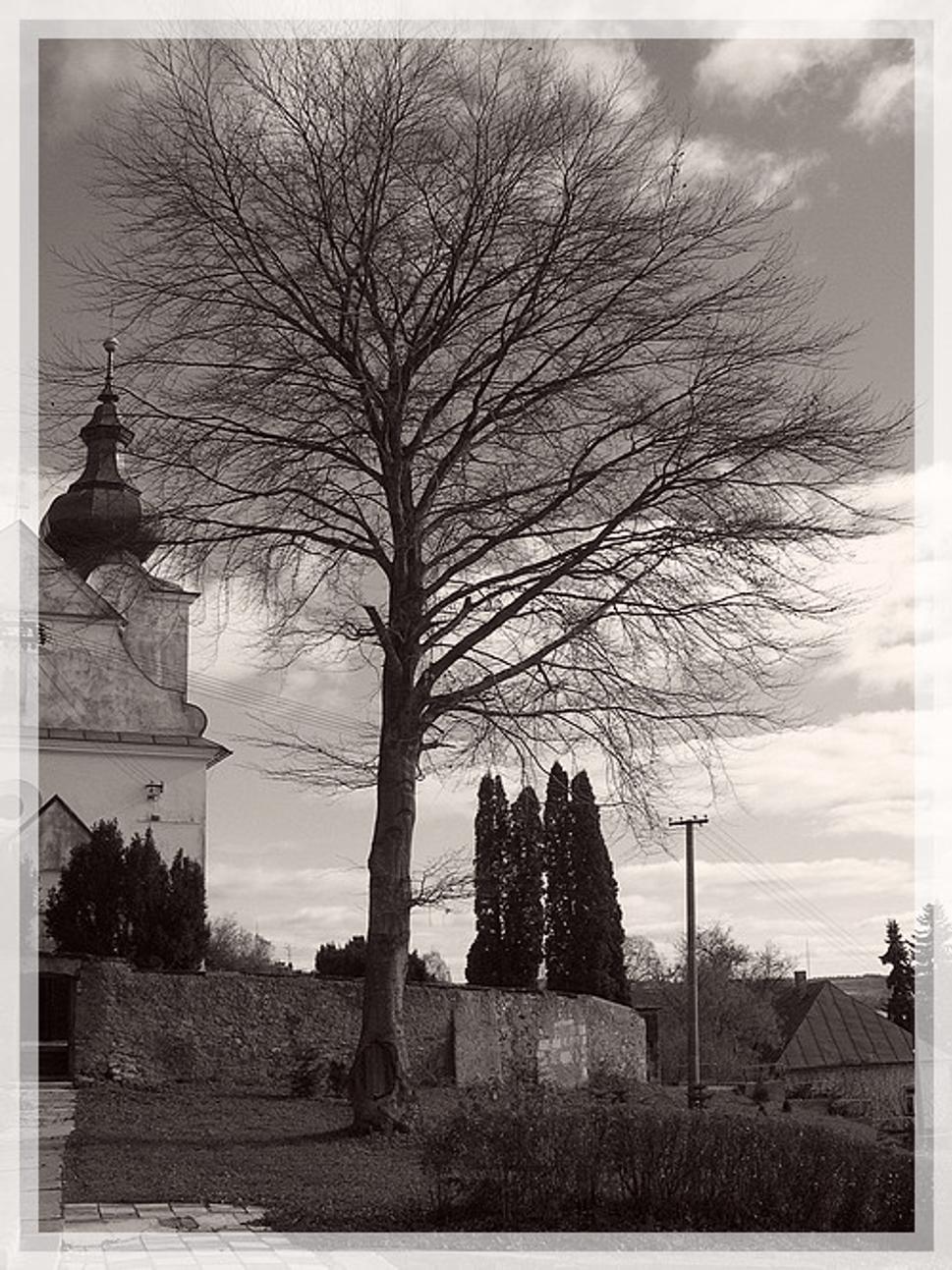Obrázok blogu
