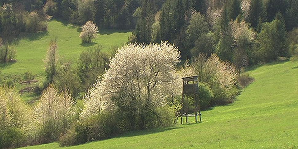 Obrázok blogu