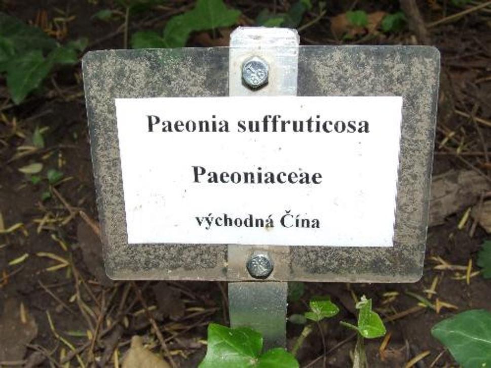 Obrázok blogu