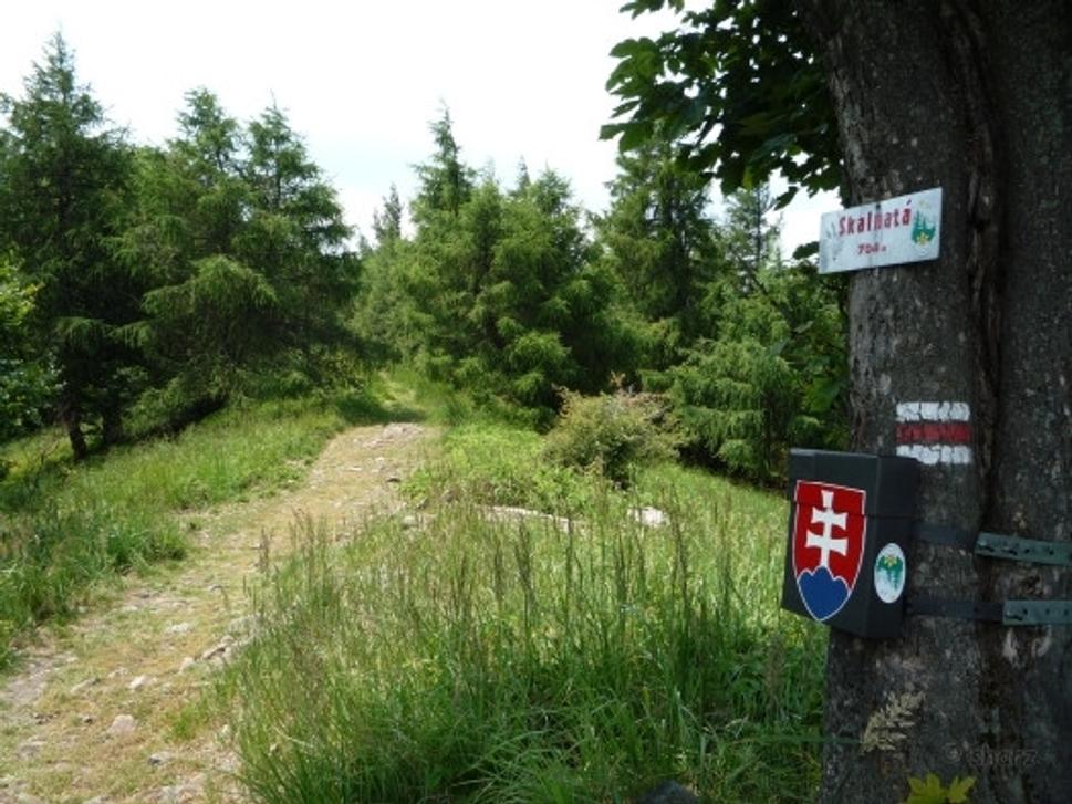 Obrázok blogu
