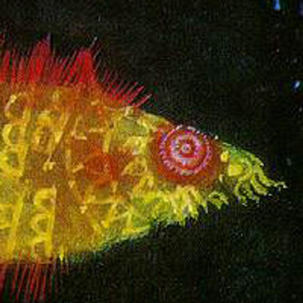 Paul Klee: Zlatá rybka (detail).