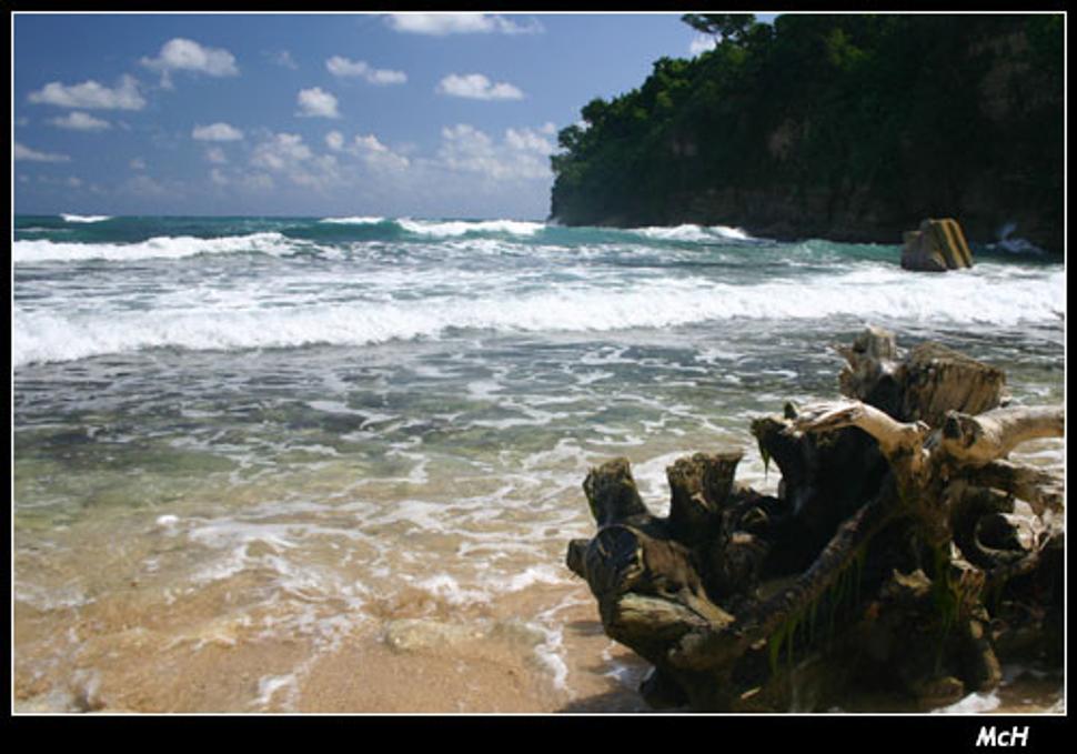 Long Bay