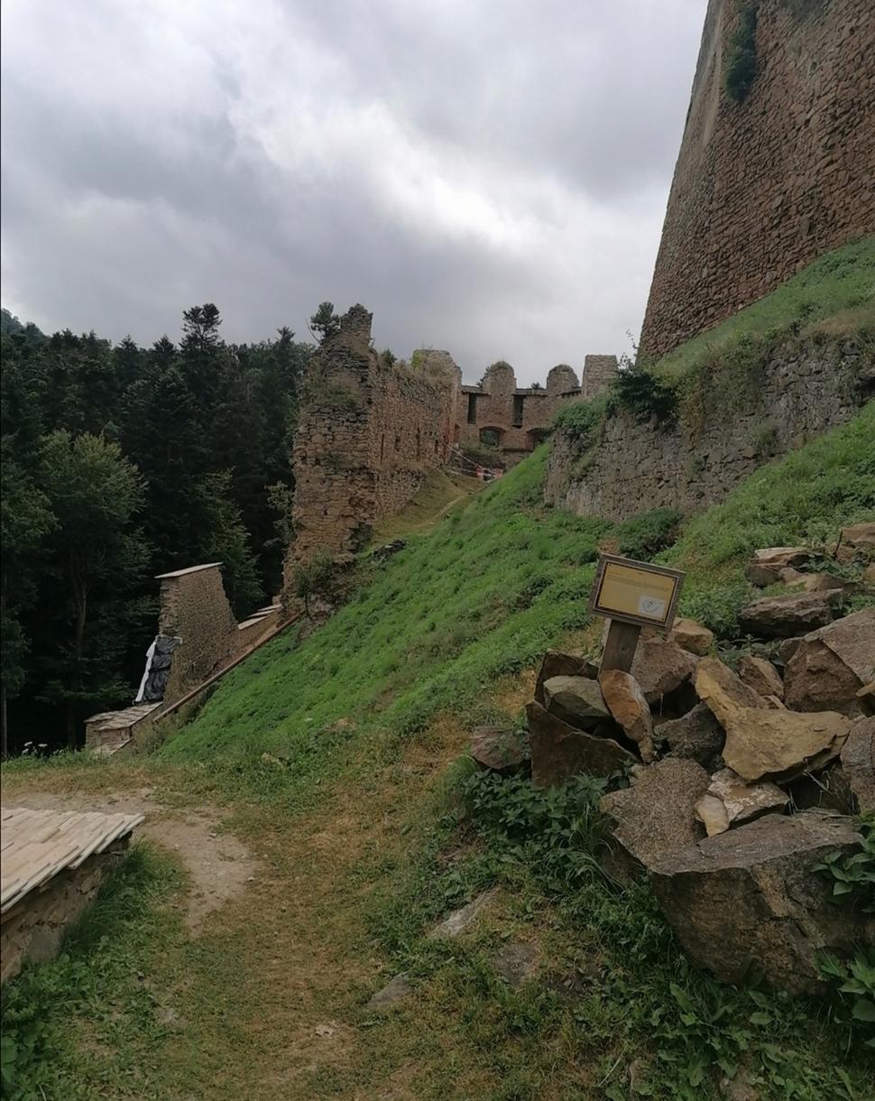 rozvaliny v tráve
