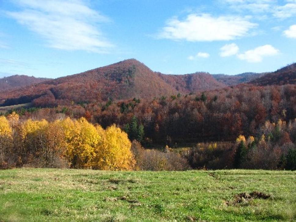 Obrázok blogu