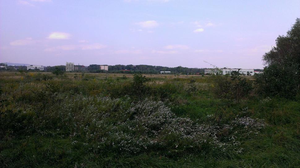 Ťažko zhodnotiť, či je to pozitívna alebo negatívna informácia. Spomíname si ako dopadla kauza Danube Arény.