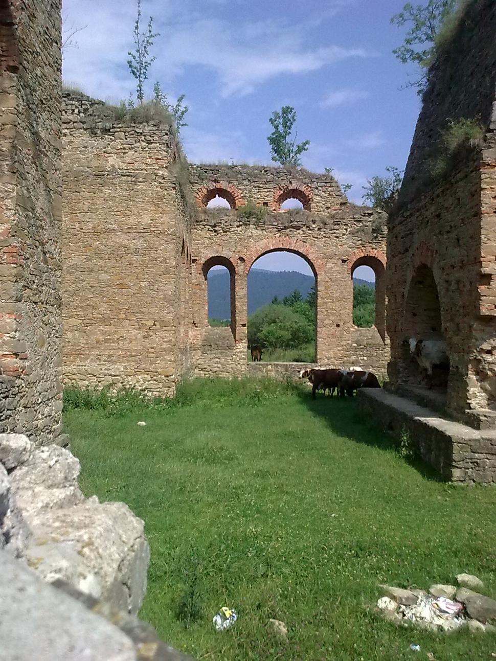 Obrázok blogu