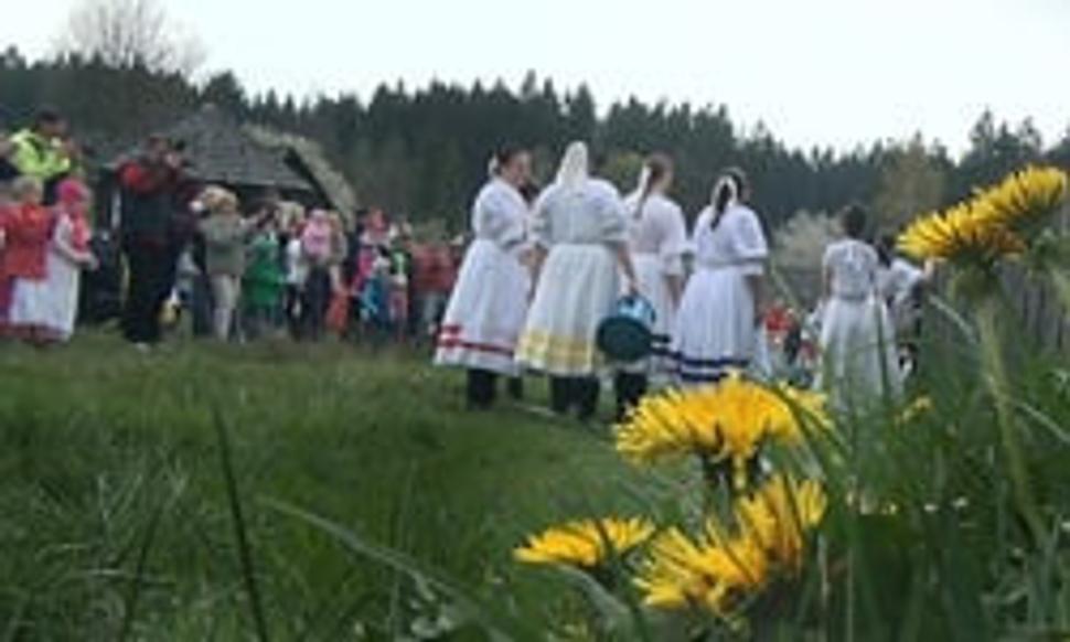 Obrázok blogu