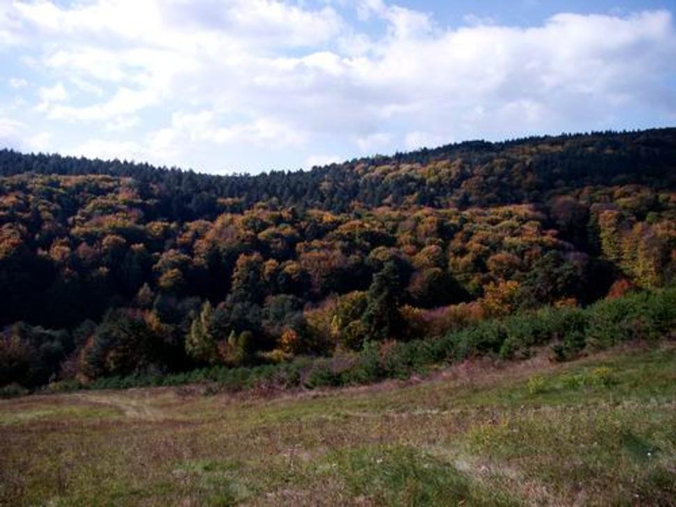 Obrázok blogu
