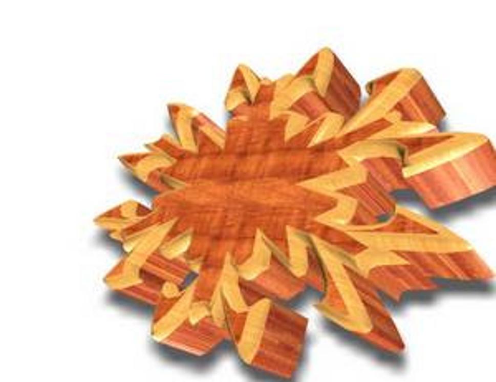 vločka v programe PhotoDraw