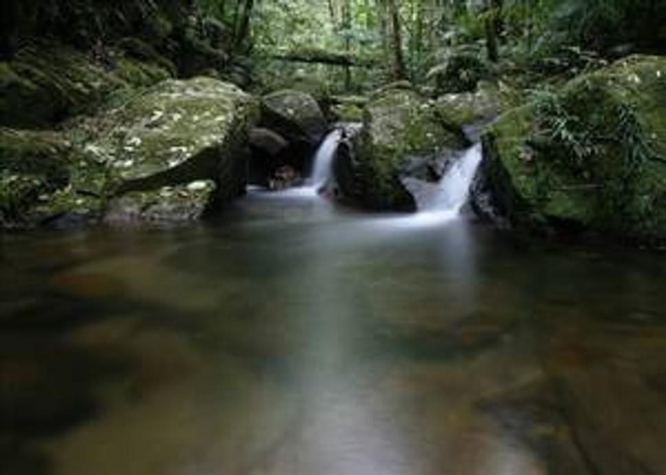 www.cayapas-adventures.com