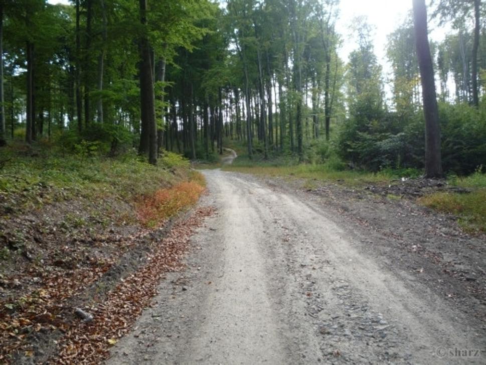 Obrázok blogu