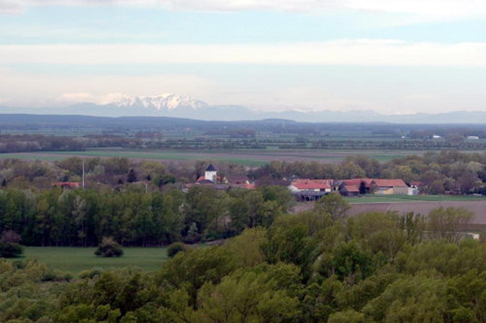 Obrázok blogu