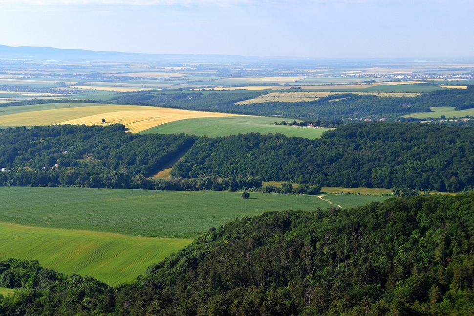 Obrázok blogu
