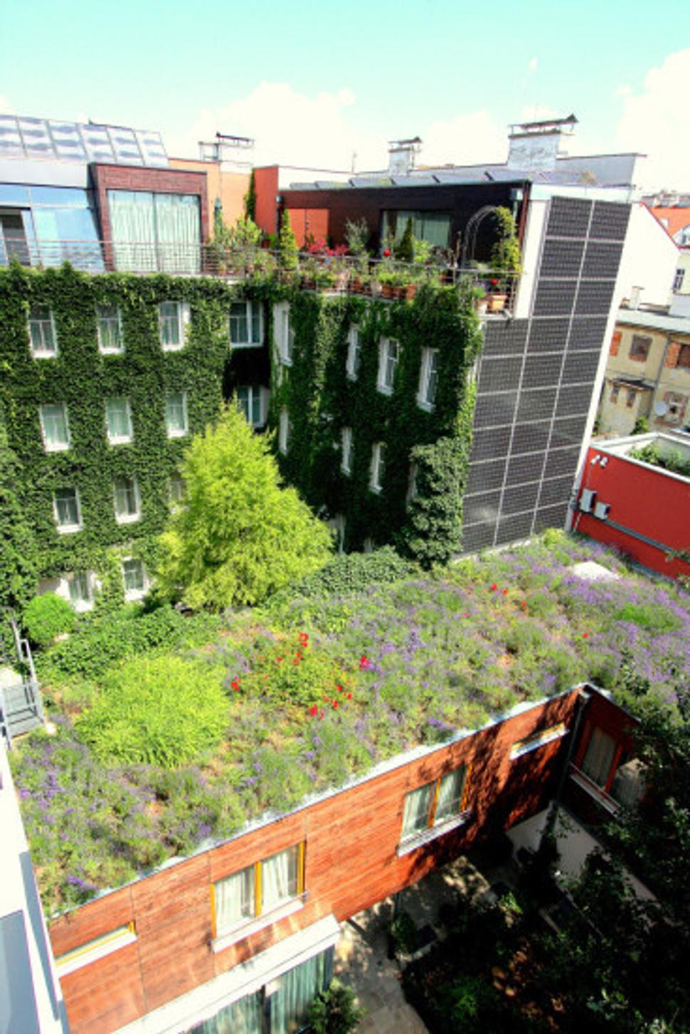 Boutiquehotel Stadhalle Vien