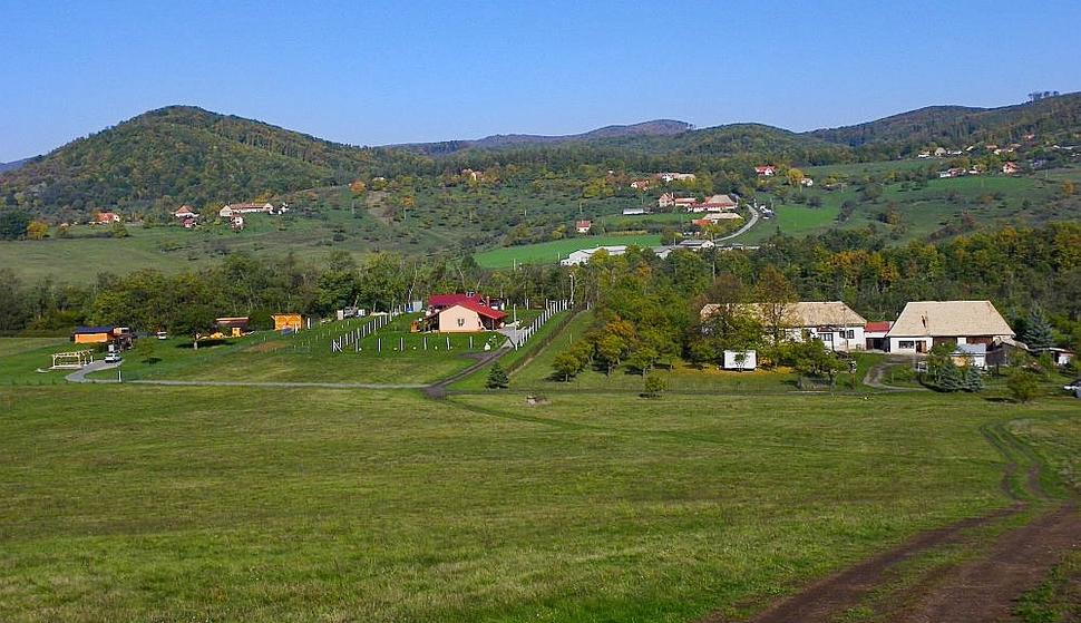 Starý háj z krupinských lazov.