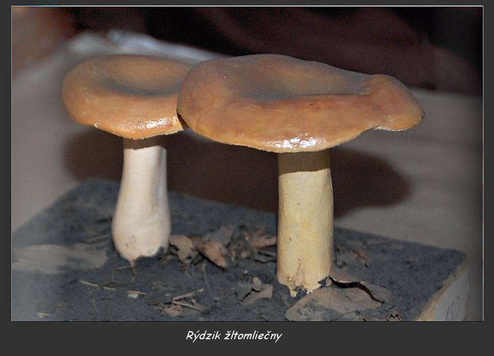 8b
