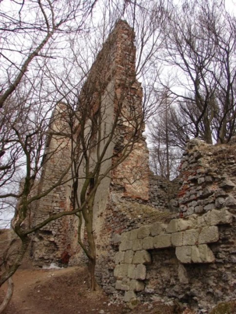 Obrázok blogu