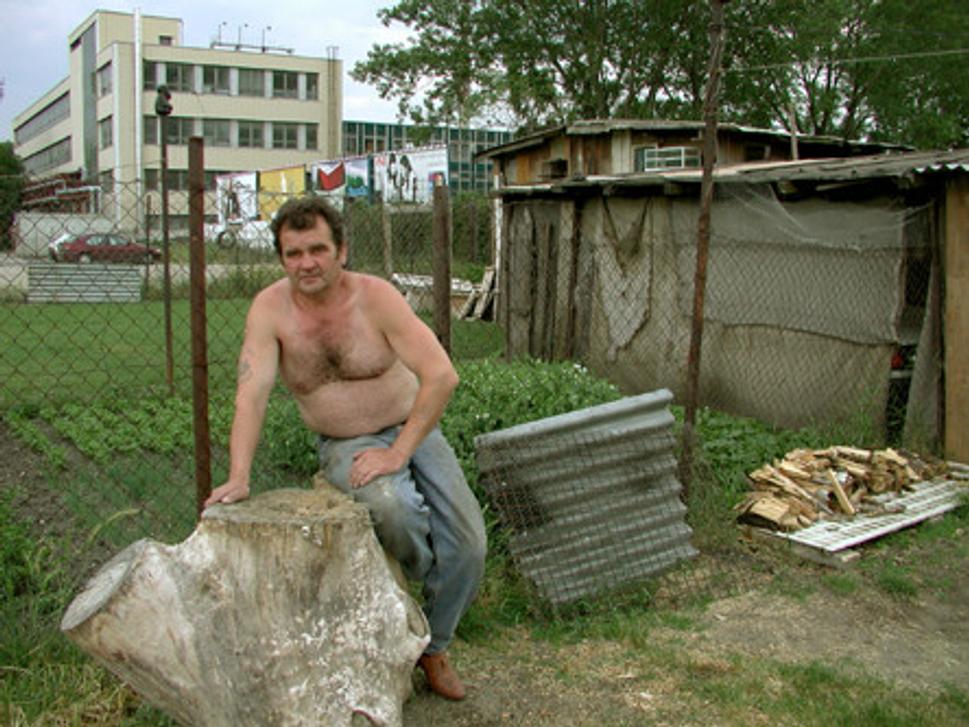 Obrázok blogu