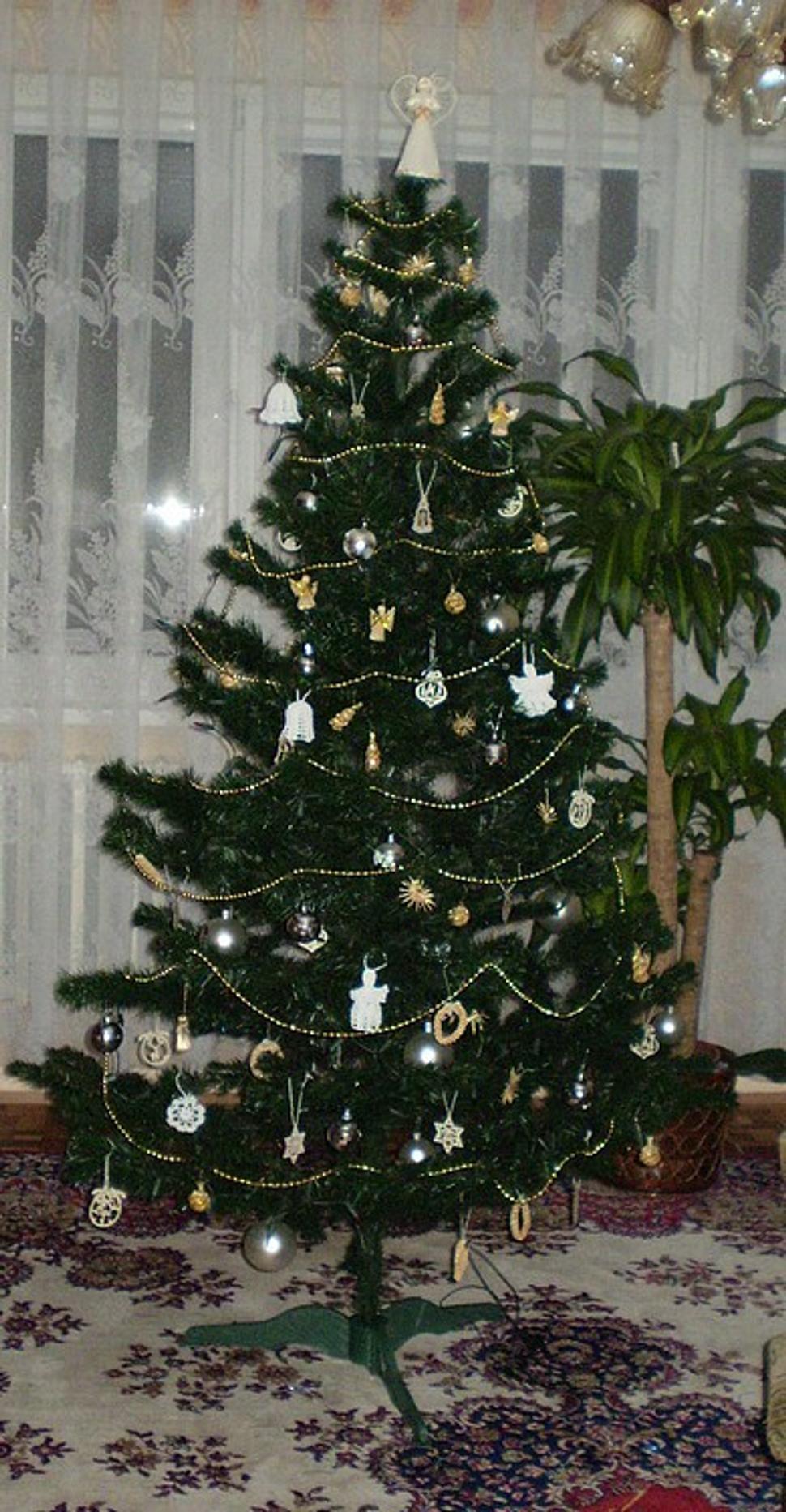 Obrázok blogu
