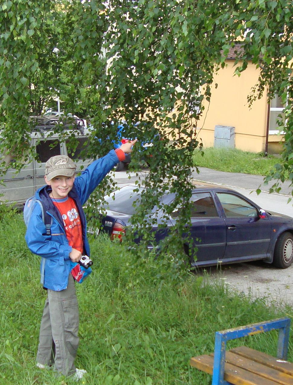 Obrázok blogu