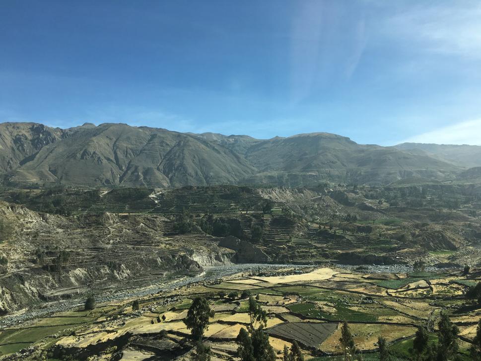 údolie rieky Colca s úrodnými poliami