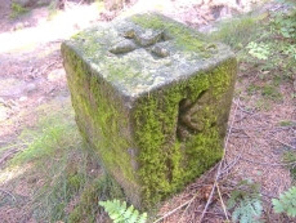 Obrázok blogu