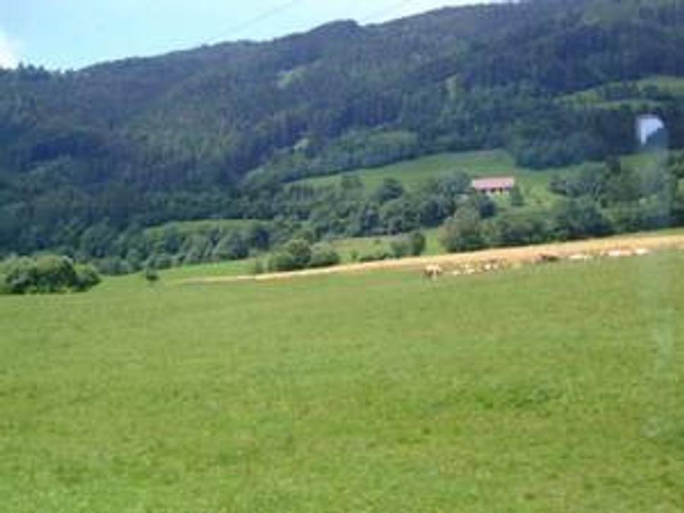 Obrázok blogu