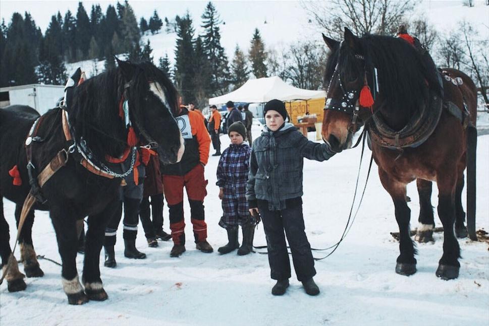 Hore: Syn mladého furmana, ktorý s rukami zmrznutými od mrazu drží v pokoji gazdovského koňa svojho otca.