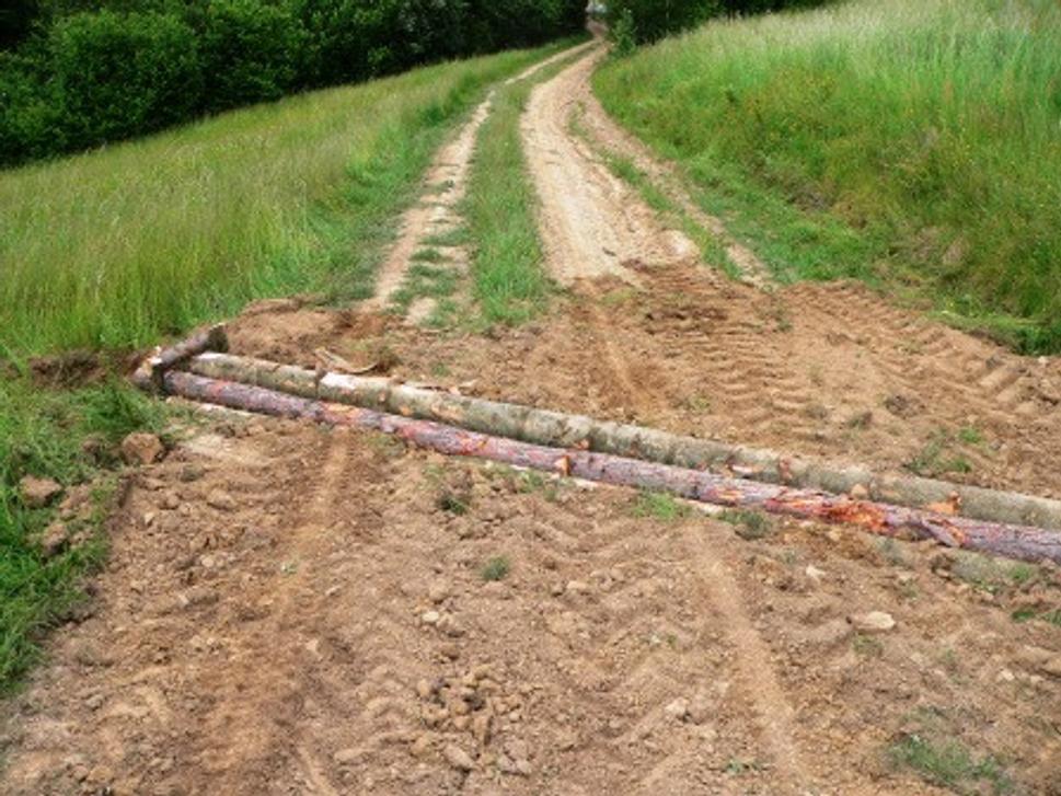 Obrázok blogu